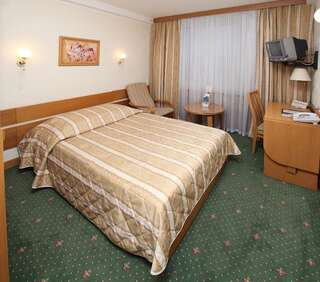 Отель Premier Hotel Rus Киев Стандартный двухместный номер с 1 кроватью-4